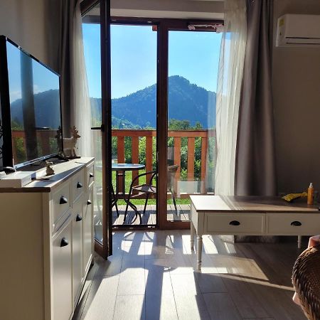 Apartament Homole E6 Szczawnica Zewnętrze zdjęcie